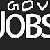 GOVERNMENT JOB POST SBI CLERK MAINS RESULT