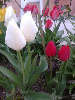 nugi'li hayat: Nisan 2013