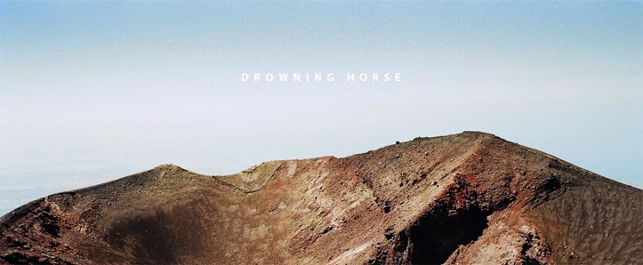 Drowning Horse