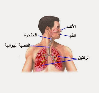 علاقة الوقت بالجسم  %D8%A7%D9%84%D8%B1%D9%8A%D9%94%D9%87