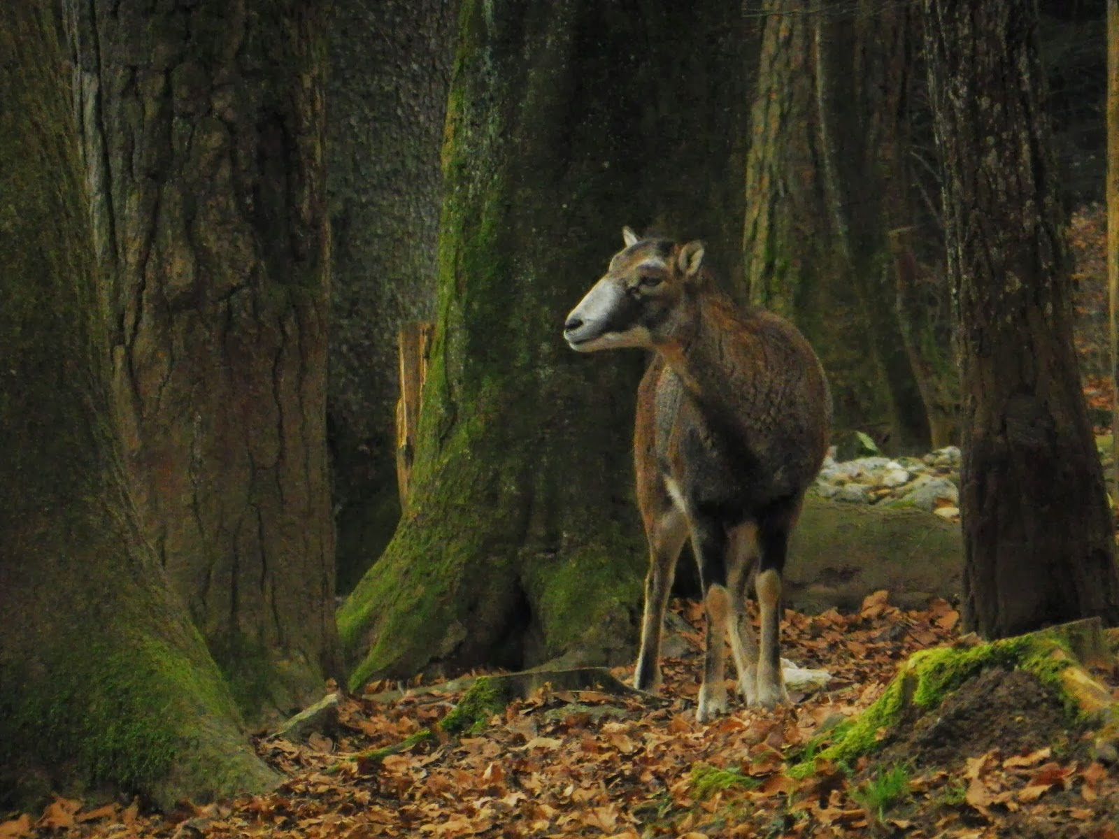 Regards sur le monde la grande jeanne
