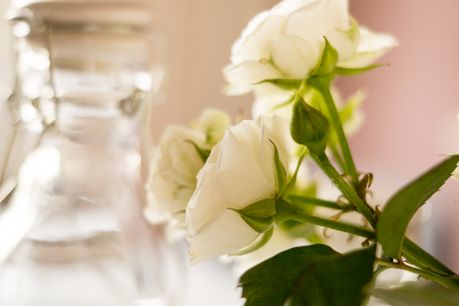 White Roses Photo