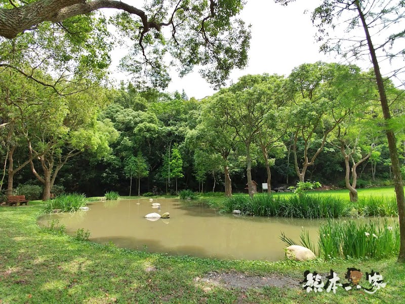 一秒到歐洲|苗栗飛牛牧場|最美牧場和大草原~野餐嬉戲觀乳牛、人工濕地護自然