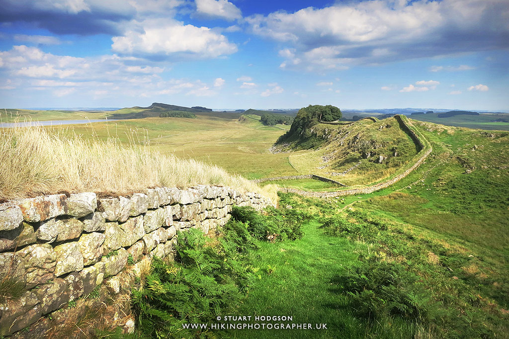 Housestead's Roman Fort - one of the best bits on the Hadrian's wall walk path, Best Hadrians Wall View, Sycamore Gap, Robin Hood prince of thieves, best view, Best Hadrian's Wall Walk, Roman wall, where is it