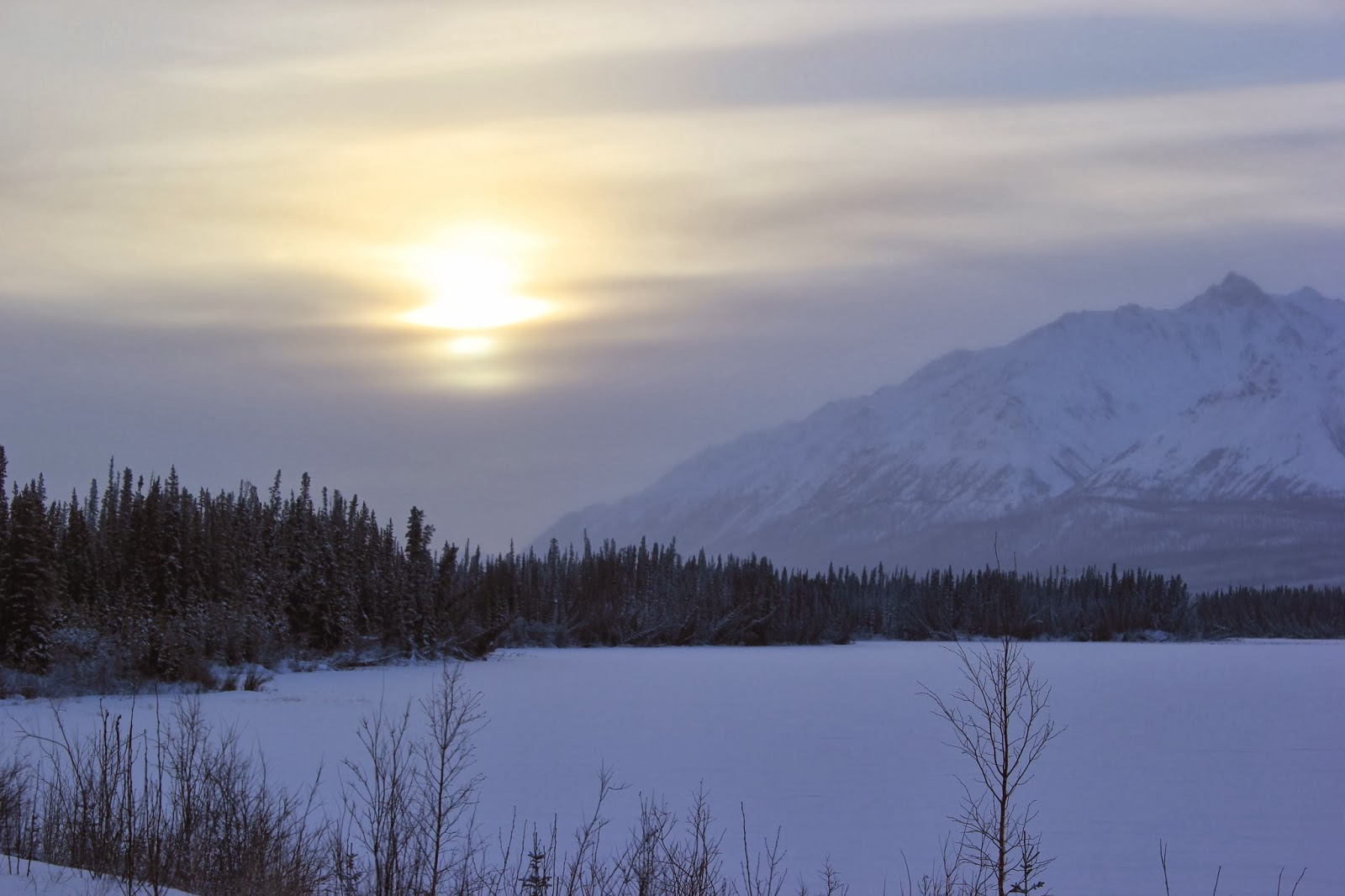 Cross country trip of a lifetime Day 2 Tok, Alaska to Whitehorse
