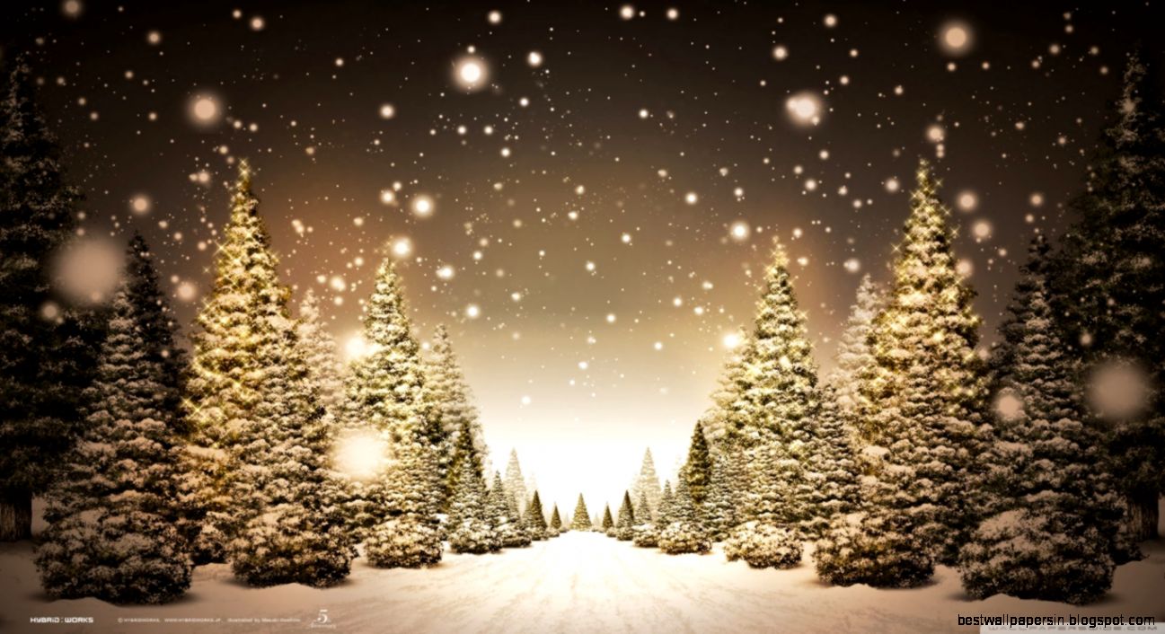 Christmas Forest HD desktop wallpaper  Widescreen  High