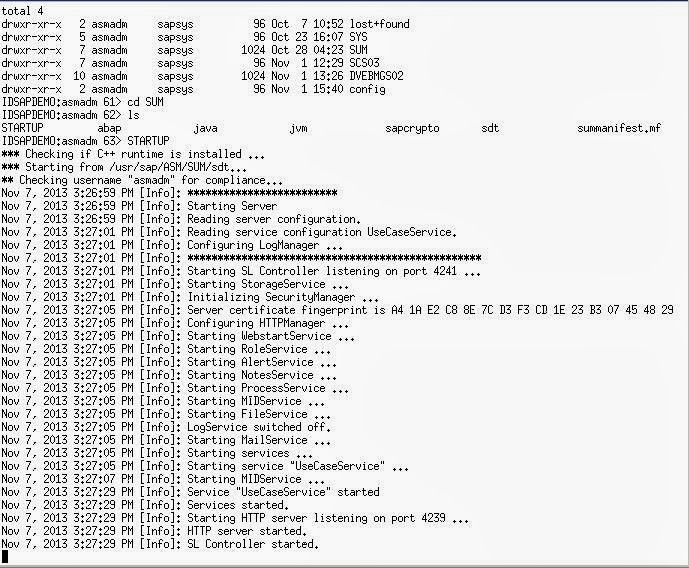 SAP SUM (Software Update Manager) 1.0 SP9 SAP is EASY and EASY
