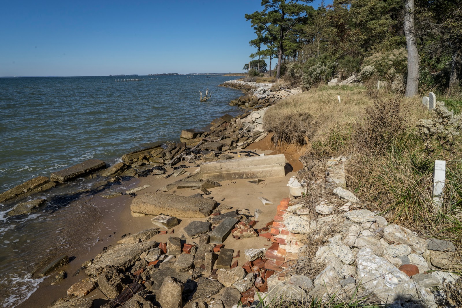 Lucent Moments Cycling Hoopers island