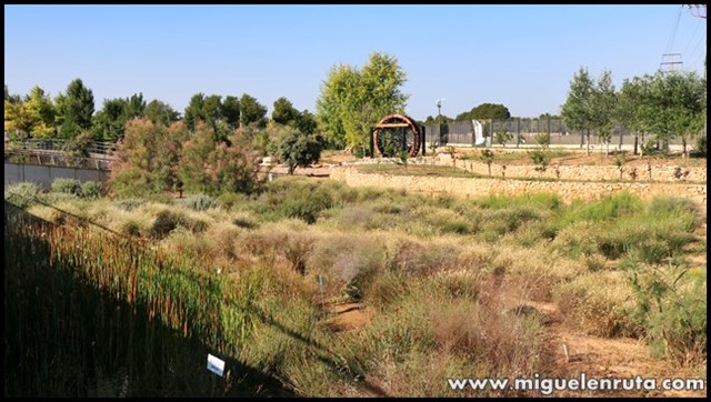 Jardín-Botánico-Castilla-La-Mancha_7
