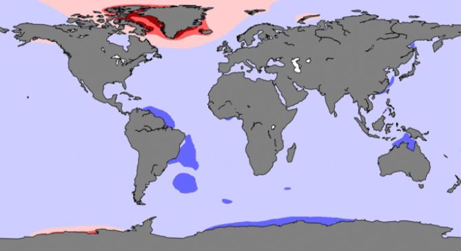 Animation reveals the global sea level 'fingerprints' that show how ...
