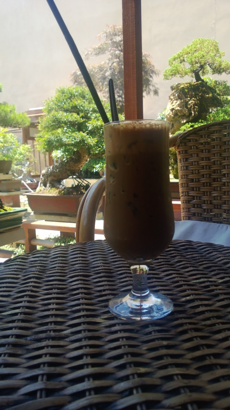 Jenerous Helpings Sweet Grass Bonsai Cafe