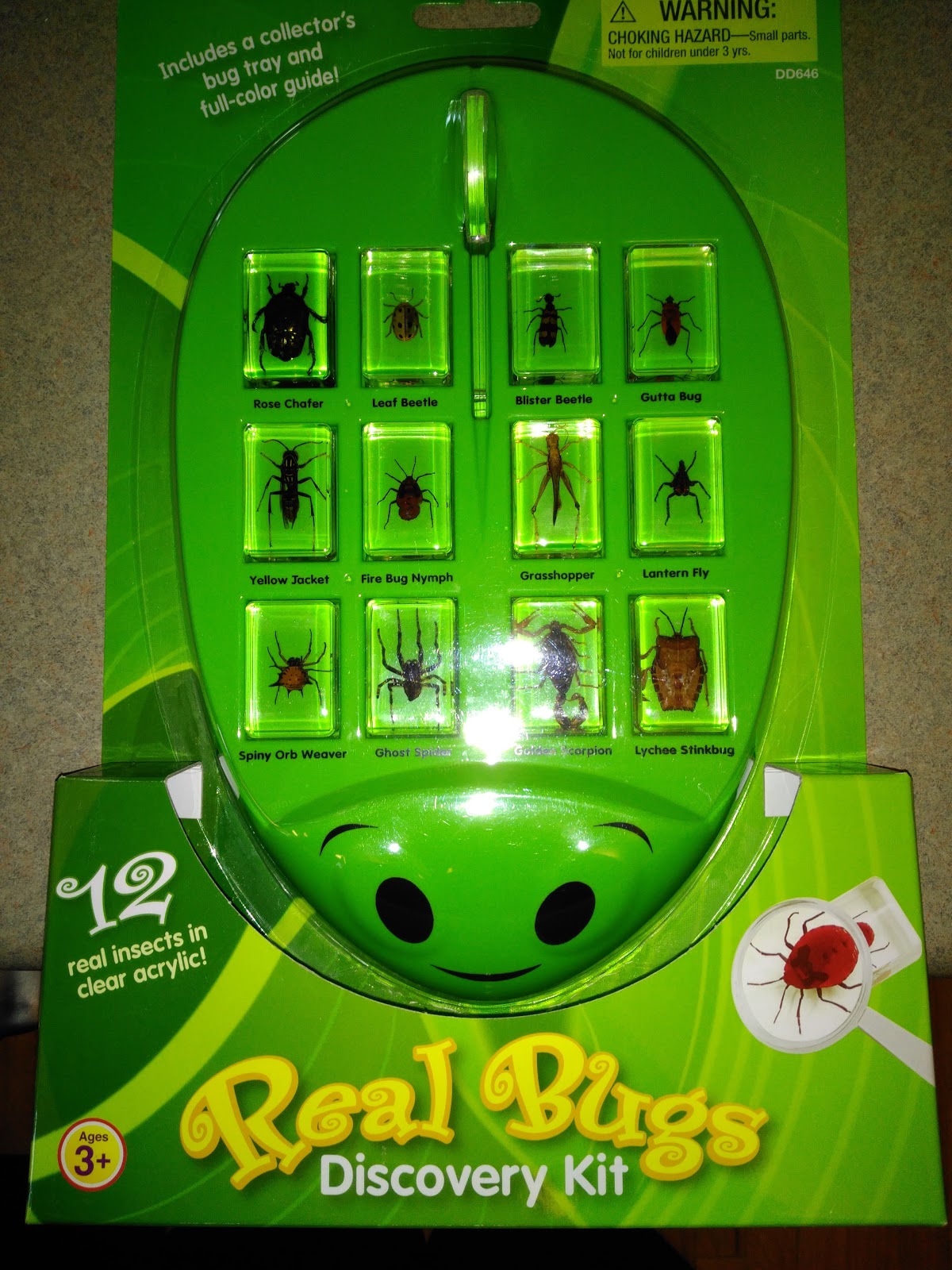 Summer Learning with LakeshoreLM The Review Stew