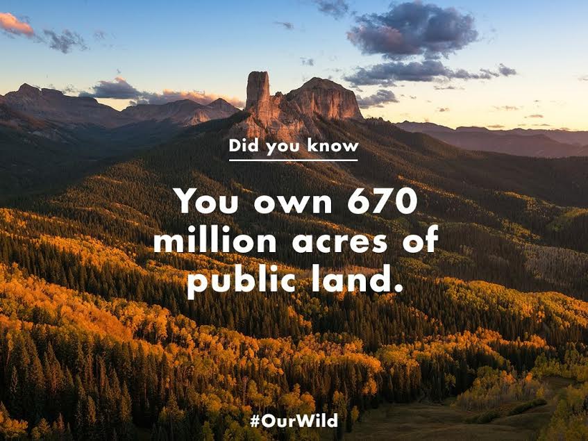 Terrierman's Daily Dose This Land Was Made for You and Me