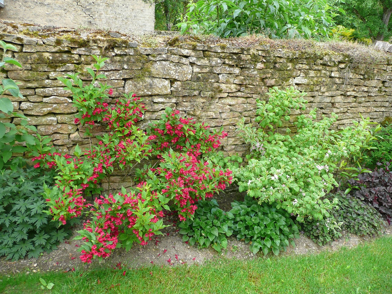 Prickly And Bitter September 2013