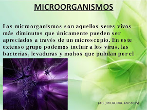 los microorganismo