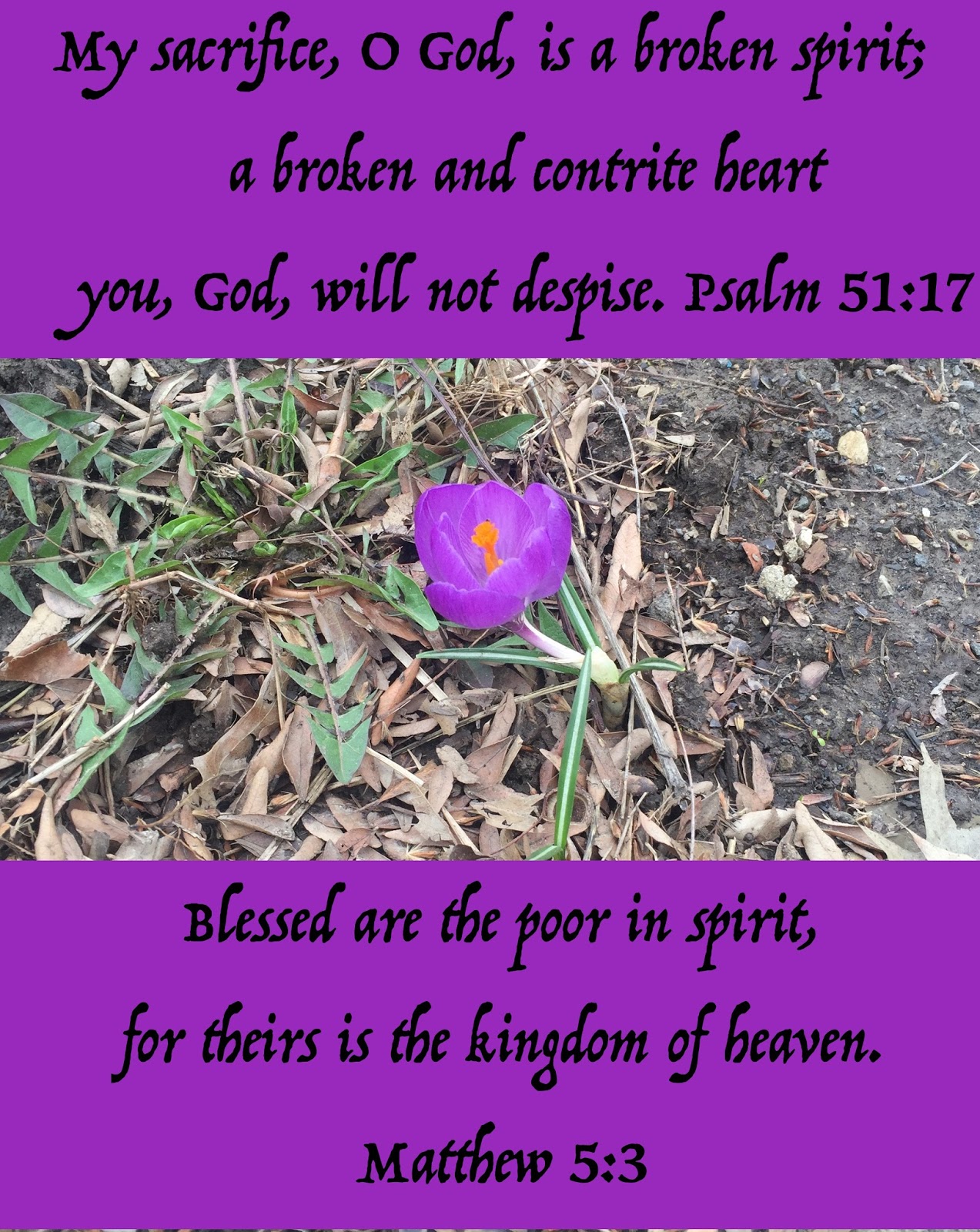 My Strength Psalm 51 17 Matthew 5 3 To Know You psalm-51-10-niv-picture-bible-verse