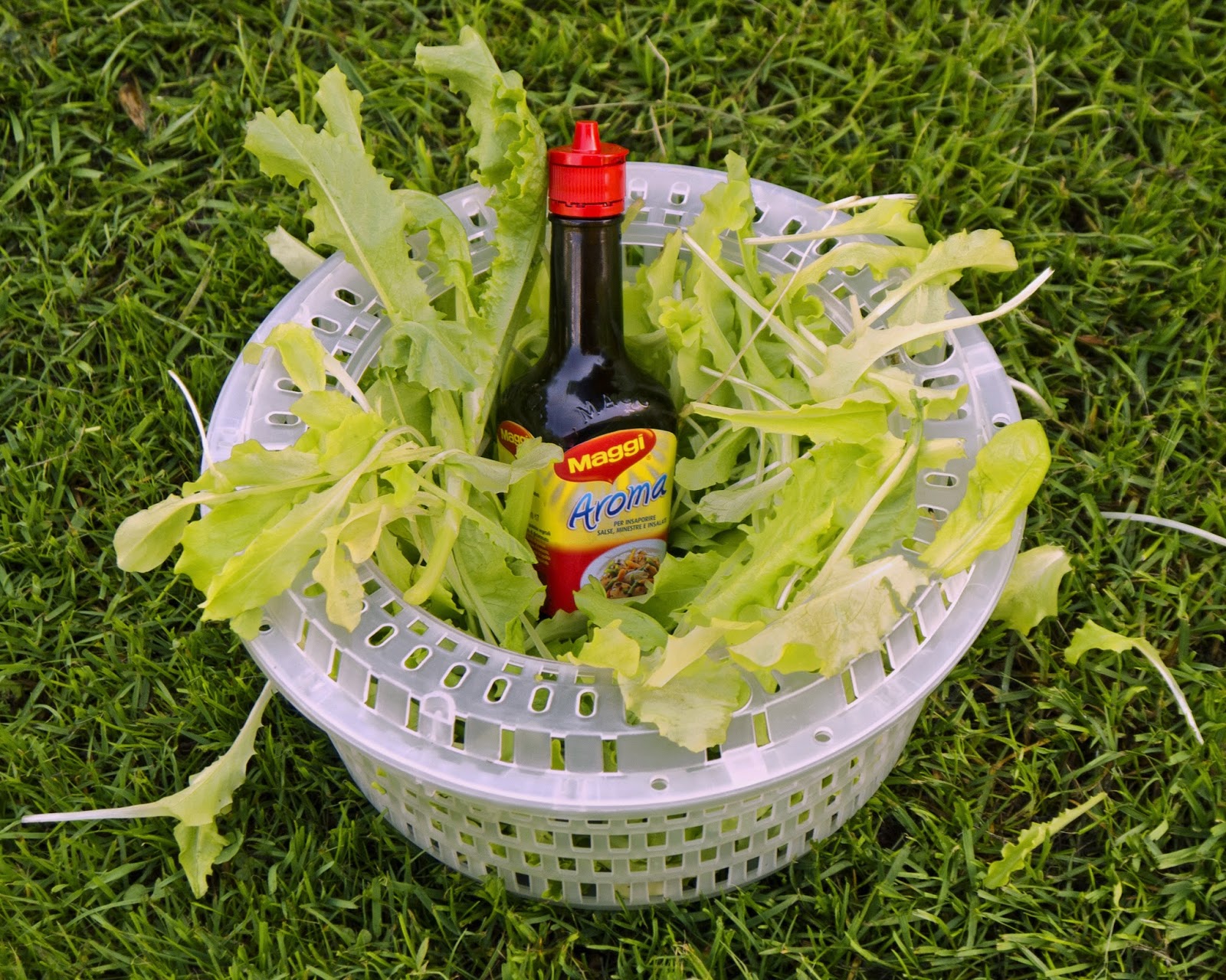 cipputiblog La salsa Maggi, che sa tanto di Mitteleuropa