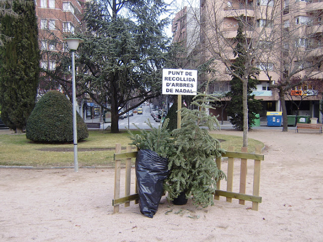 L’Ajuntament de Vic instal·la punts  de recollida d’arbres de nadal
