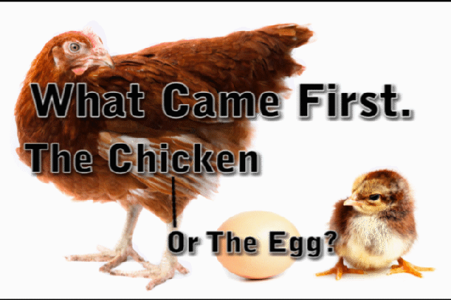 What Came First. The Chicken or The Egg? By Simon Brown.