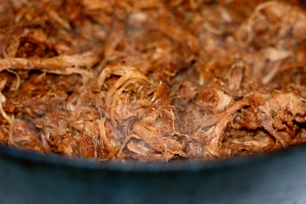 ben and birdy Adobo Carnitas