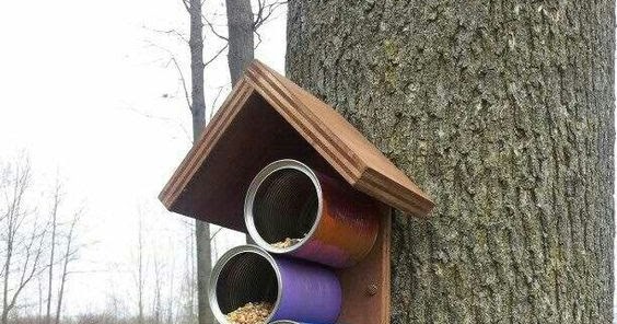 Best of the best: Garden bird feeder ideas!