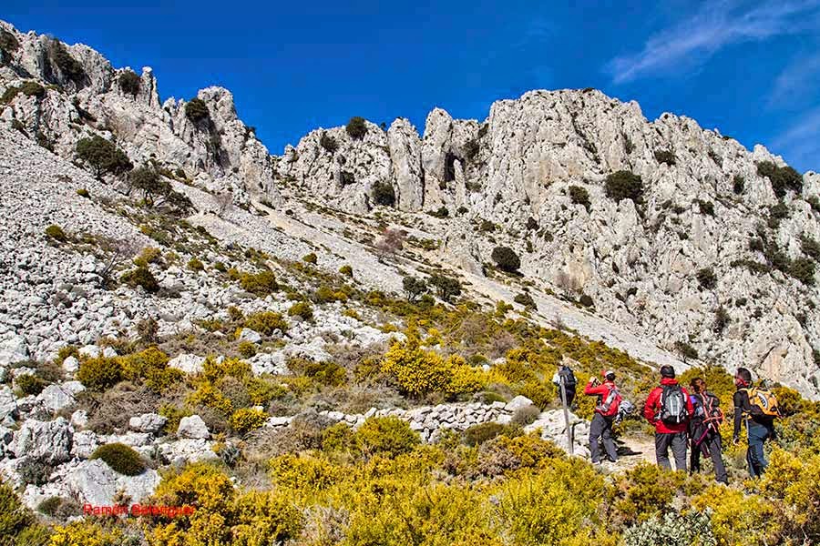 BICHOS Y MAS VLC UN PASEO POR LA SIERRA DE LA SERRELLA O EL PIRINEO