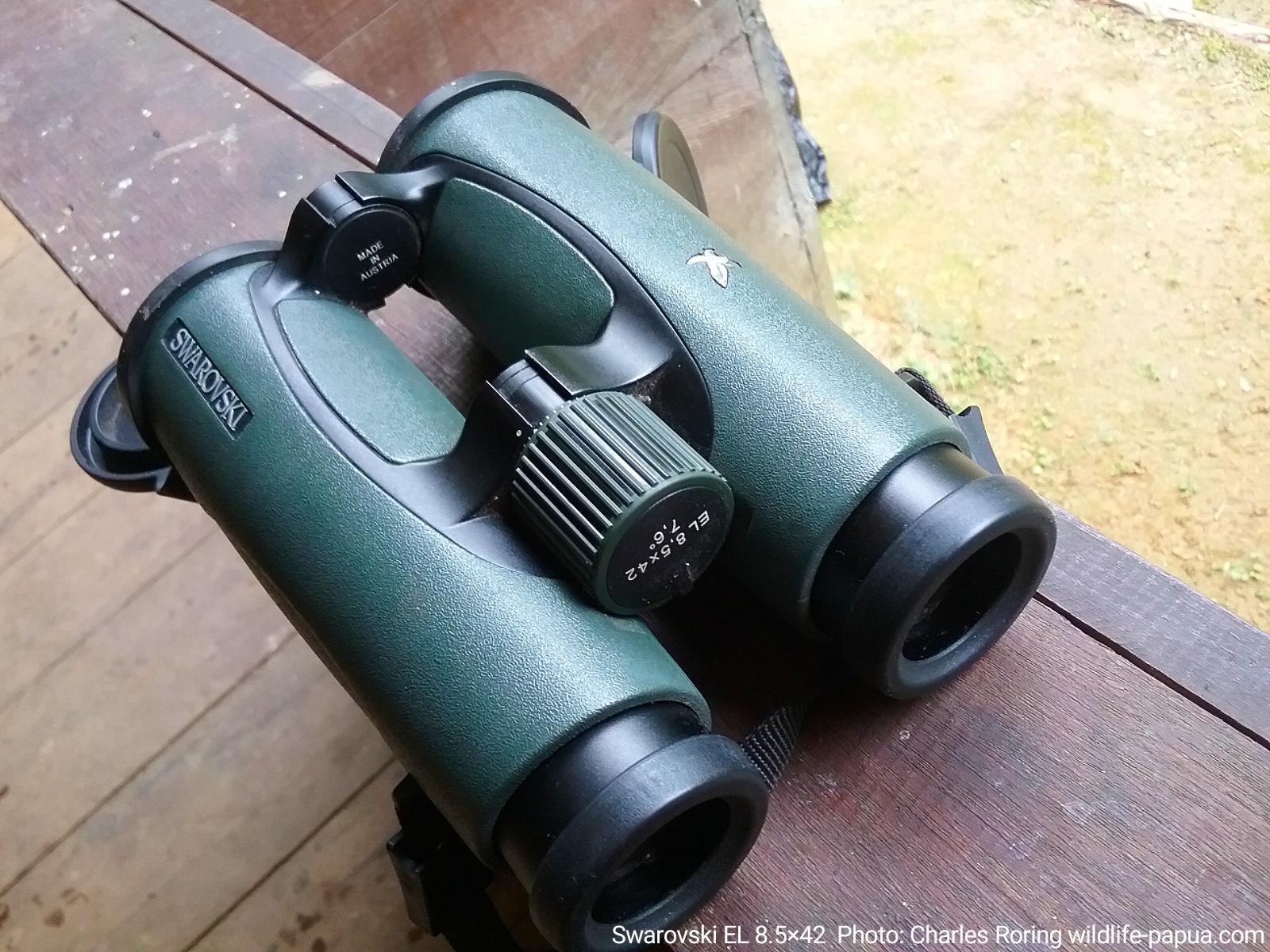 Wildlife Watching Tour Birdwatching Binoculars