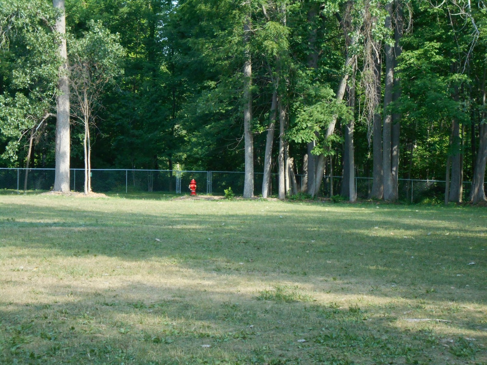 New York State of Mind SHORTSVILLE, NY DOG PARK