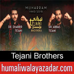 https://www.humaliwalayazadar.com/2013/06/shabbir-and-abbas-tejani-nohay-2007-2013.html