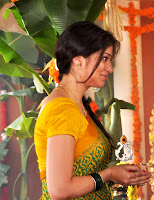 Bollywood and Tollywood acress Lakshmi, Rai, green saree, hot, sexy, gorgous, sizzling, desi Indian look 