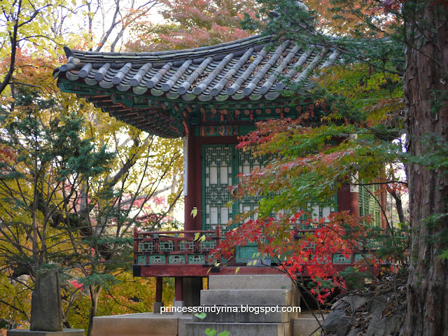 trees and Korean architecture