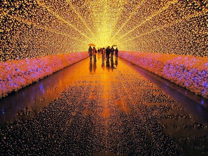 The Incredible Winter Light Festival in Japan Interesting Facts