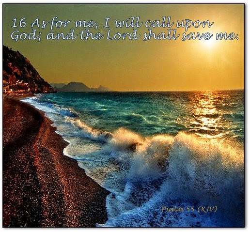 Red Pill Diaries Psalm 55 KJV red-pill-diaries-psalm-55-kjv