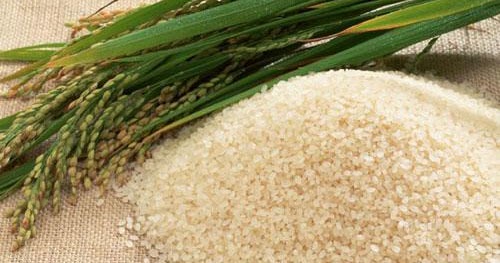 Arjunpuri in Qatar: Komal Saul: The ‘instant’ rice from Assam that ...