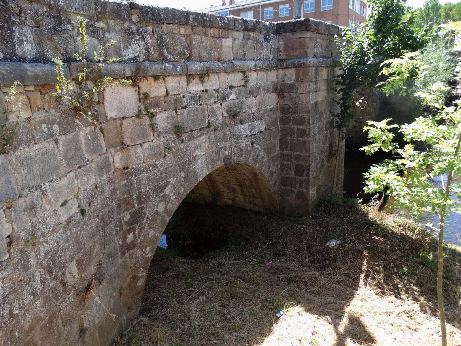 CAZANDO PUENTES PUENTE DE PUENTE ALMUHEY. León