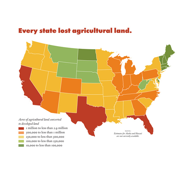 Garden Earth Beyond sustainability Paving farms