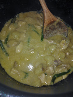 Chicken Thai Green Curry Bristol