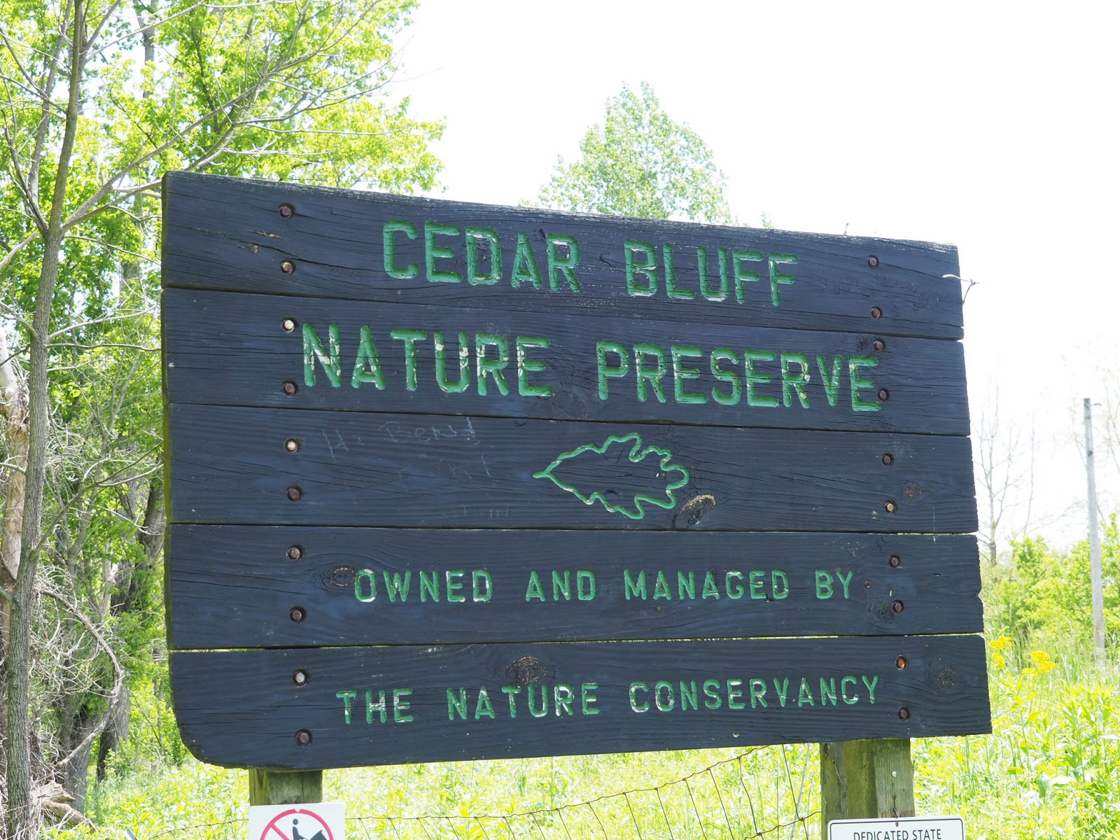 Bloomington, IN Cedar Bluff Nature Preserve (halfway up) Explore