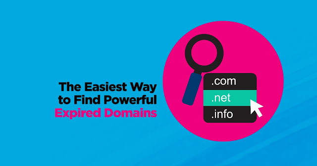 How to Find &#038; Earn More from Expired Domains