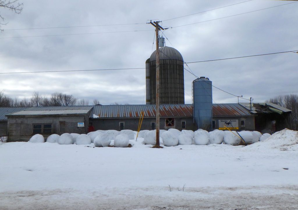 Windswept Adventure Baker Road, Towns Of Malone And Bangor, New York