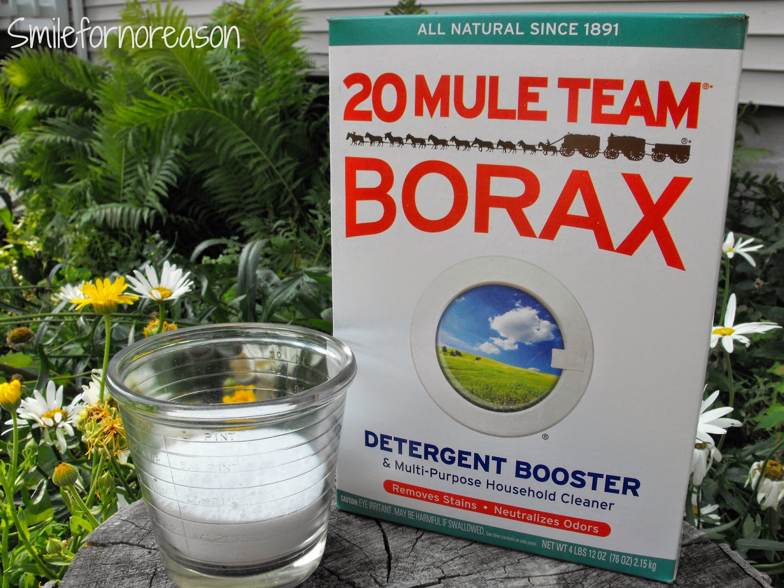 Borax laundry booster