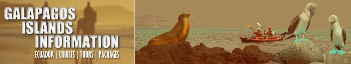 Galapagos Islands Information | Ecuador | Cruises | Tours