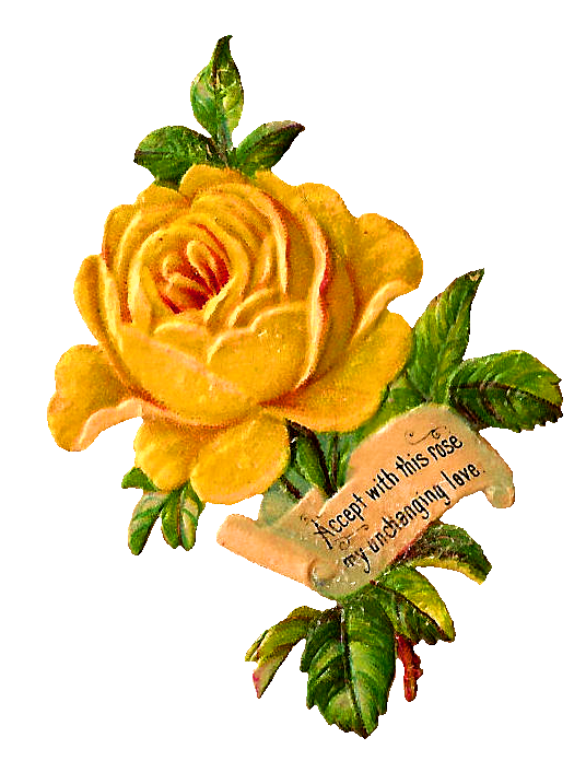 yellow roses pictures clip art - photo #29