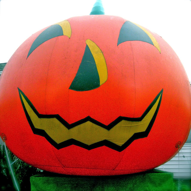 365 Binghamton 1 Iron Kettle Farm