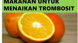 7 makanan untuk menaikan trombosit dengan cepat