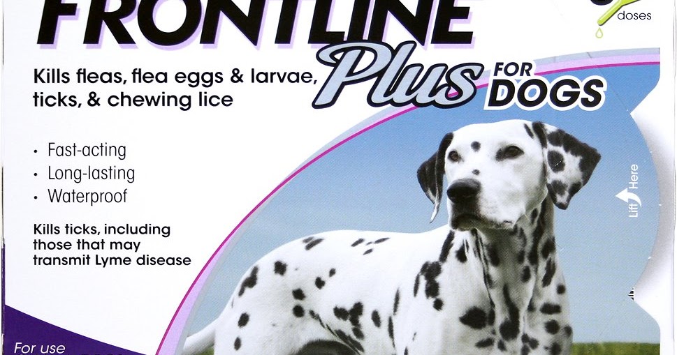 Frontline Plus A New Perspective to Treat Flea and Ticks biographypedia