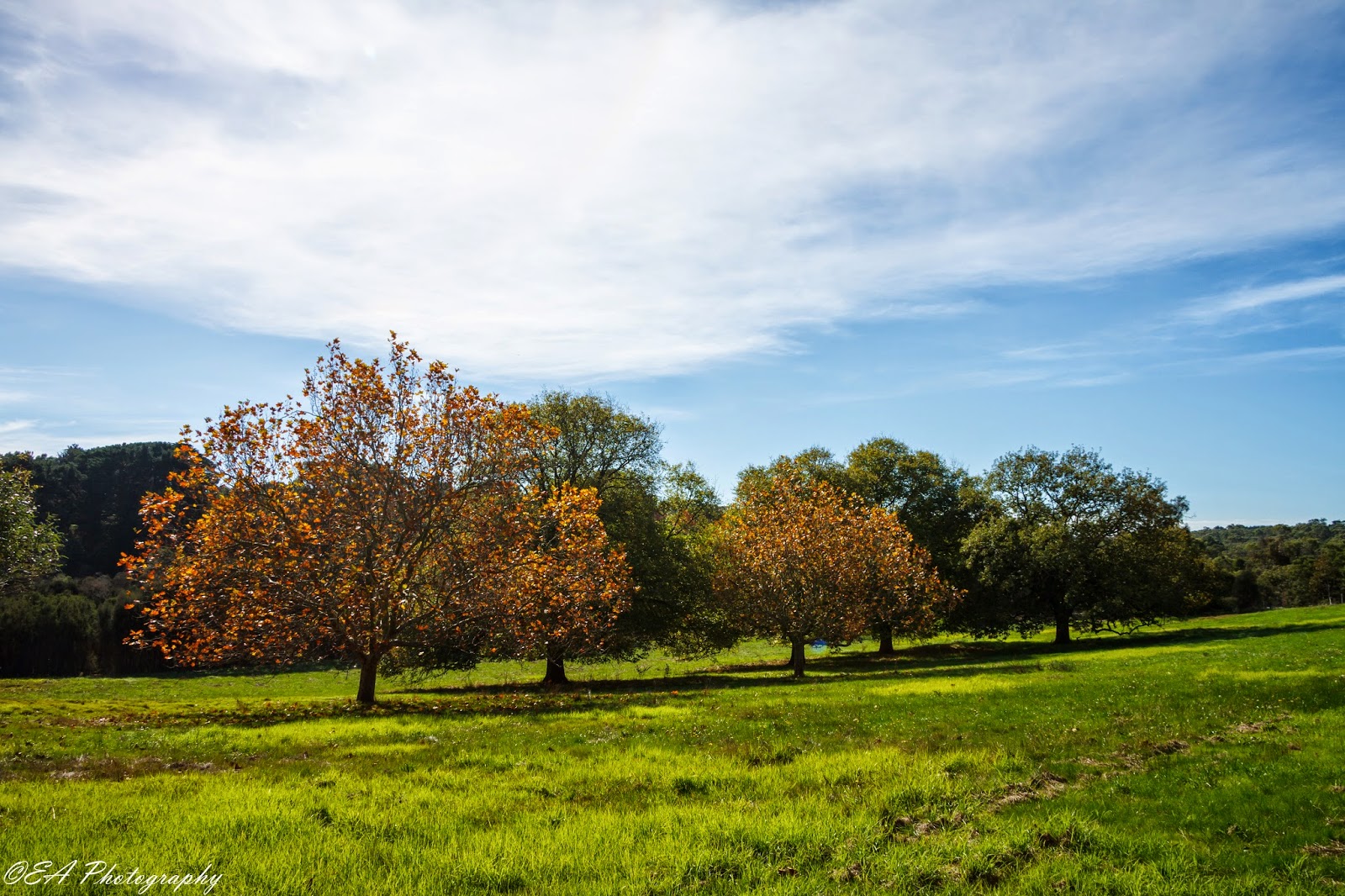 The Greatest of These is LOVE Autumn at The Briars, Mount Martha, VIC The Greatest of These is LOVE Autumn at The Briars, Mount Martha, VIC