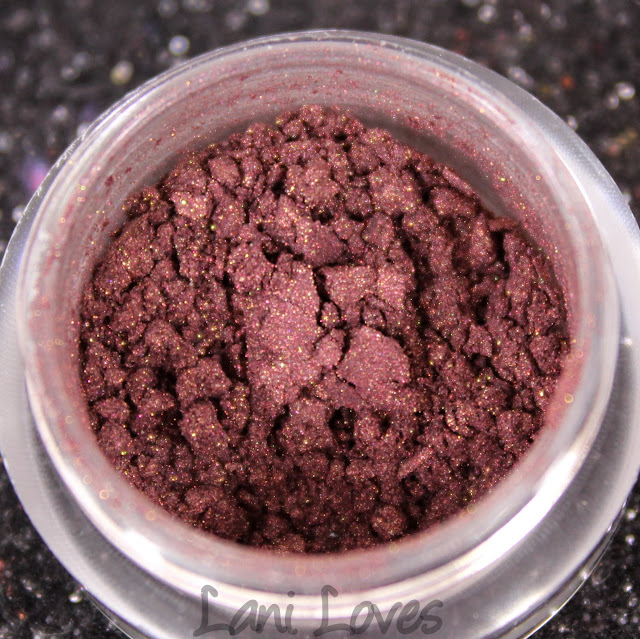 Notoriously Morbid Protective Aggressor Eyeshadow Swatches & Review