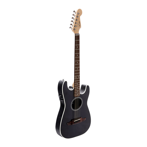  dan guitar Fender Standard Stratocaster