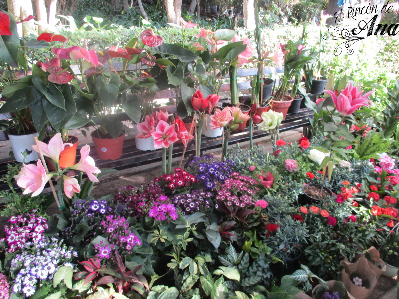 feria de la candelaria 2017